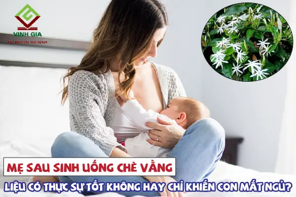 Uống Cao Chè Vằng Có Mất Ngủ Không