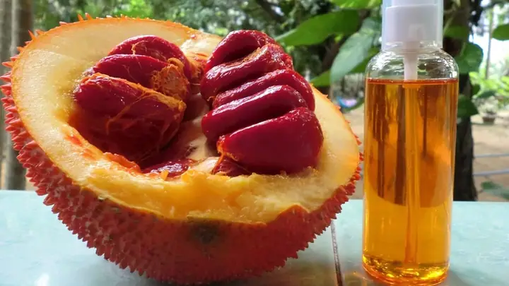 Uong Dau Gac Co Tot Khong Uong Dau Gac Co Tot Khong