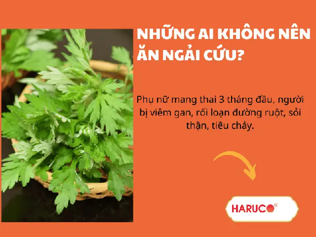 Uống Ngải Cứu Khi Mang Thai