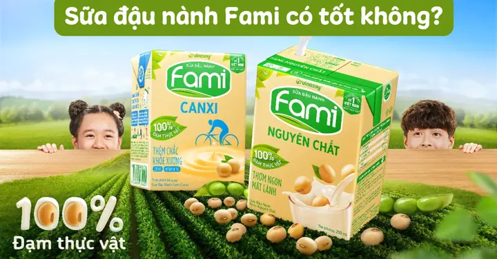 Uống Nhiều Sữa Đậu Nành Fami Có Tốt Không
