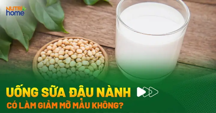 Uống Sữa Đậu Nành Có Giảm Cân Hay Không
