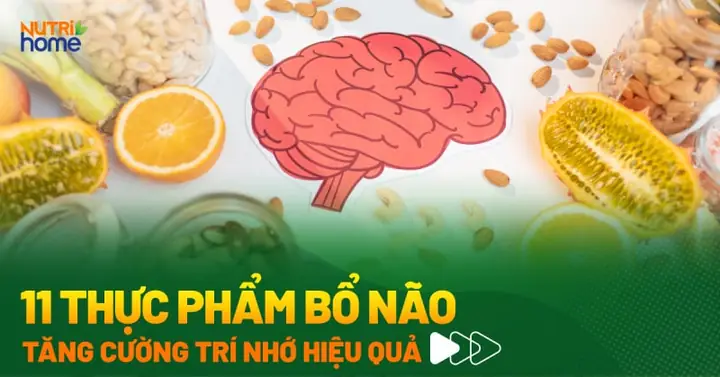 Uống Sữa Gì Để Tăng Trí Nhớ