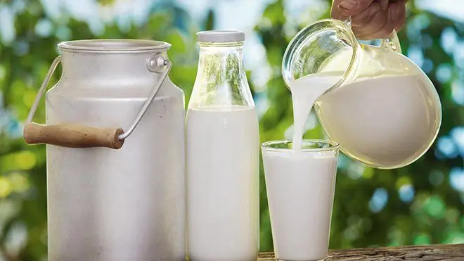 Uống Sữa Tươi Không Đường Có Cao Không