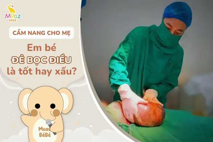 Vận Mệnh Người Sinh Bọc Điều
