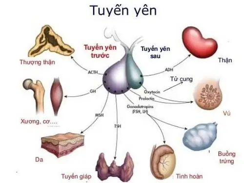 Vì Sao De Mẹ Không Cho Con Bú