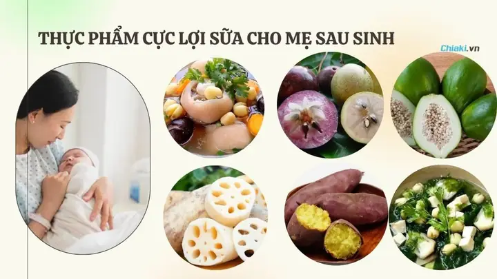 Vú Sữa Có Tốt Cho Mẹ Sau Sinh Vú Sữa Có Tốt Cho Mẹ Sau Sinh