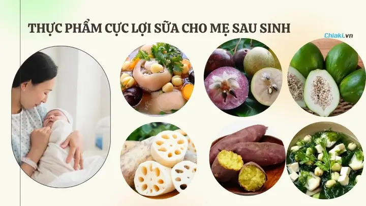 Vú Sữa Có Tốt Cho Mẹ Sau Sinh Vú Sữa Có Tốt Cho Mẹ Sau Sinh