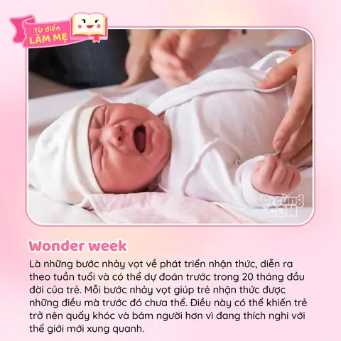 Wonder Week Tính Theo Ngày Dự Sinh Hay Thức Sinh