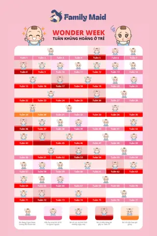 Wonder Week Tính Theo Ngày Dự Sinh Hay Thức Sinh