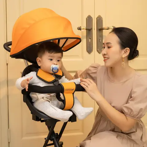 Xe Đẩy Cho Bé 6 Tháng Tuổi