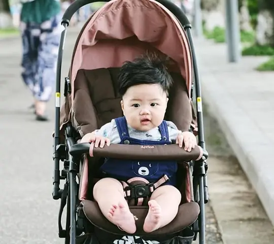 Xe Đẩy Cho Bé 6 Tháng Tuổi