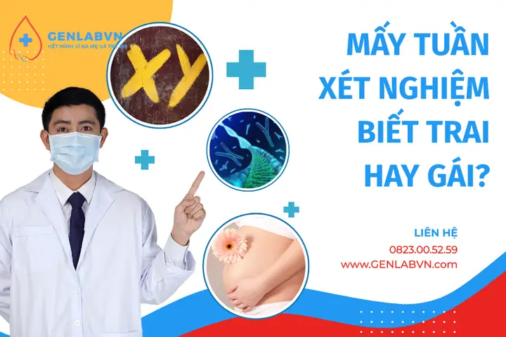Xét Nghiệm Máu Có Thai Ở Đà Nẵng