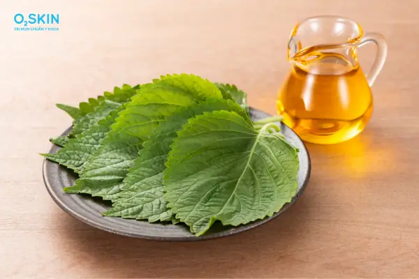 Xông La Tía To Trị Mụn Xông La Tía To Trị Mụn