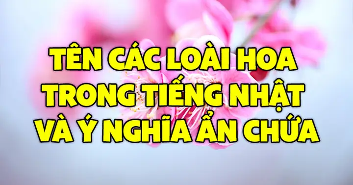 Ý Nghĩa Của Tên Tiếng Nhật