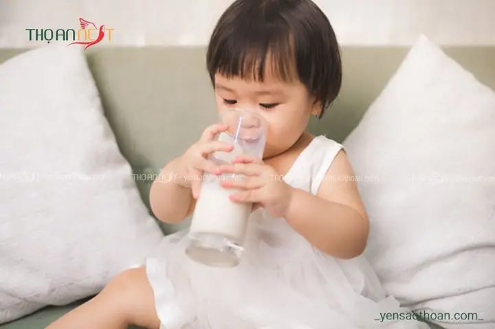 Yến Cho Trẻ Dưới 1 Tuổi Yến Cho Trẻ Dưới 1 Tuổi