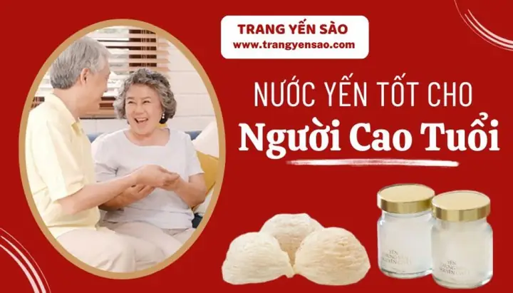 Yến Nào Tốt Cho Người Già