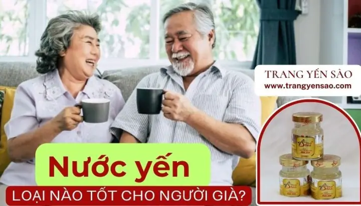 Yến Nào Tốt Cho Người Già